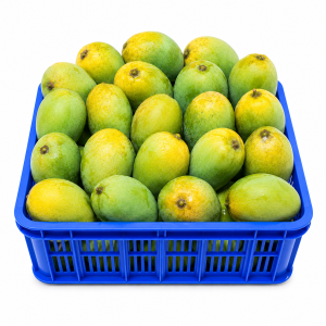 হিমসাগর আম
