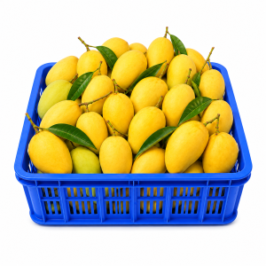 কাটিমন আম