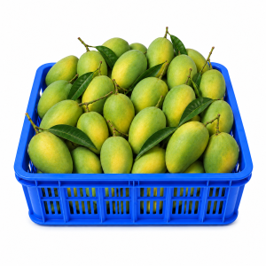 কাটিমন আম নন-ব্যাগিং